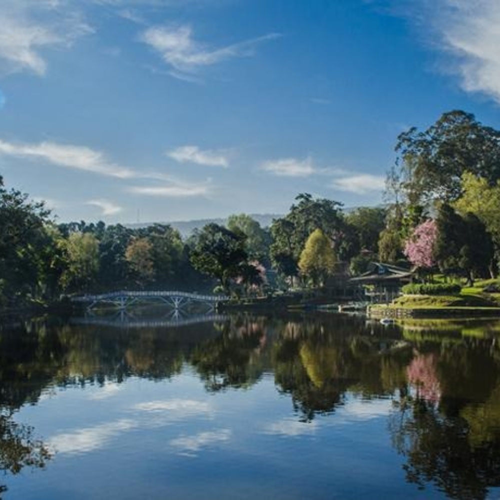 Ward's Lake